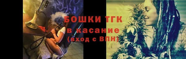 прущие грибы Алексеевка
