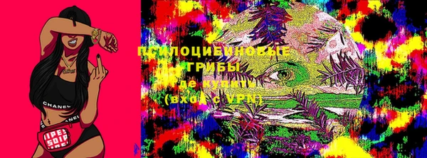прущие грибы Алексеевка