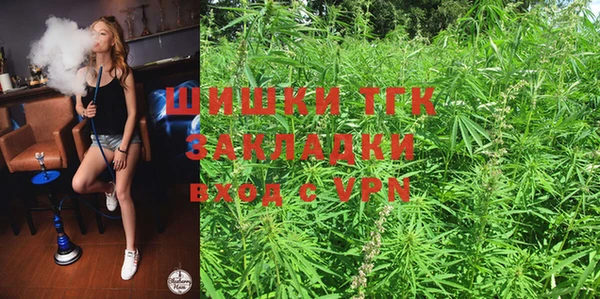 прущие грибы Алексеевка
