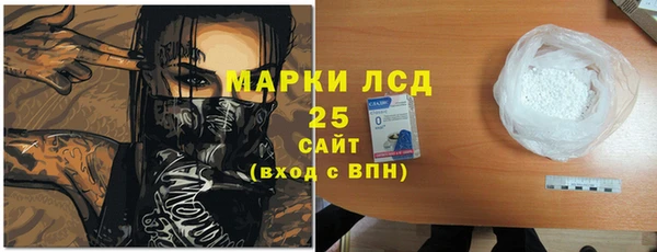 прущие грибы Алексеевка